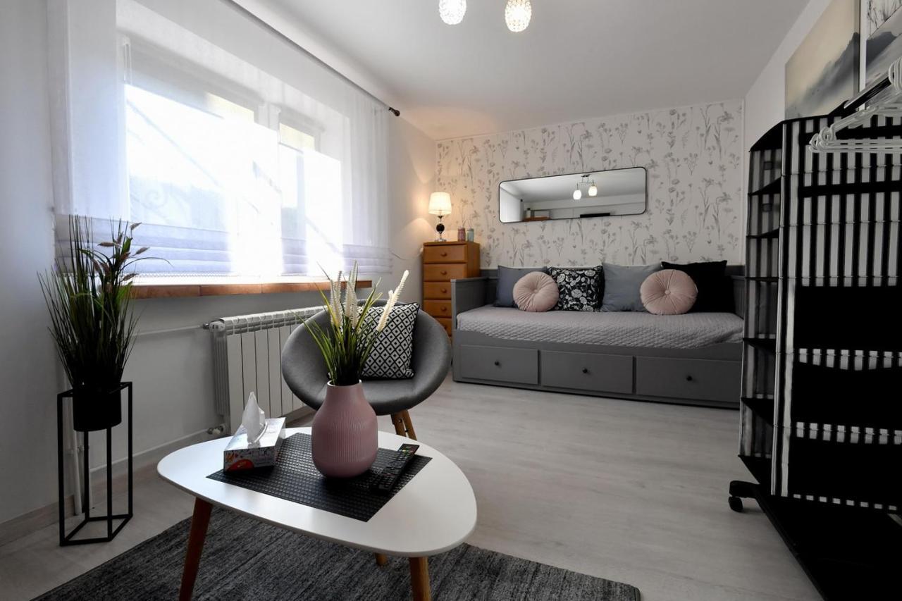 Apartament Spytkowice - Energylandia Krakow Oswiecim Wadowice Exterior photo